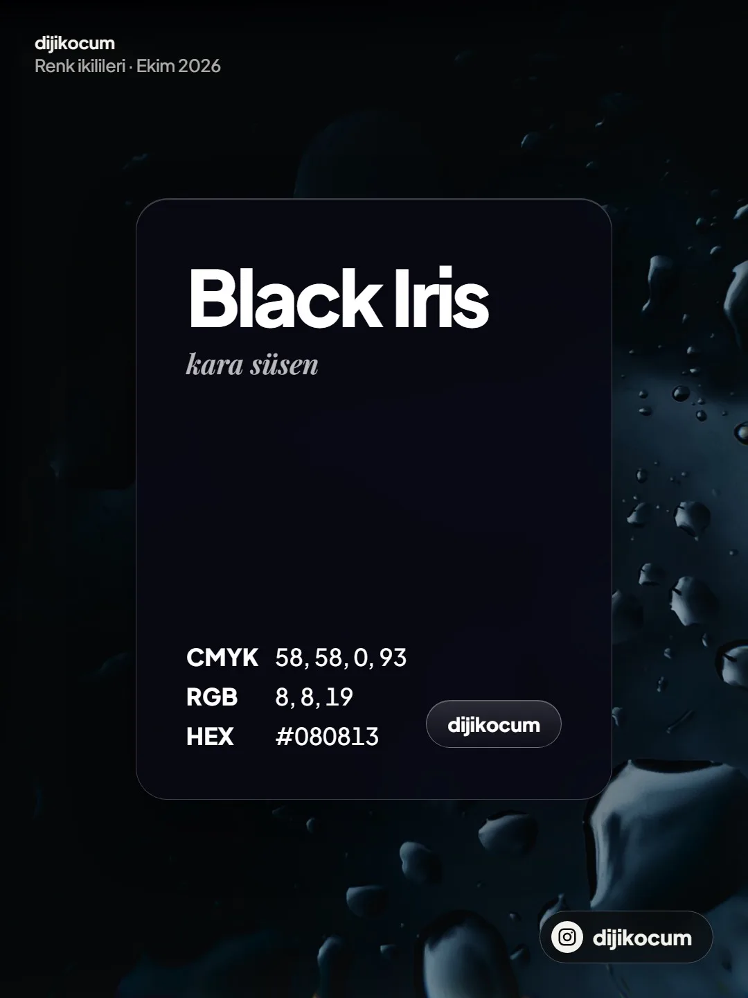 Black Iris, kara süsen: CMYK 58, 58, 0, 93; RGB 8, 8, 19; HEX #080813.