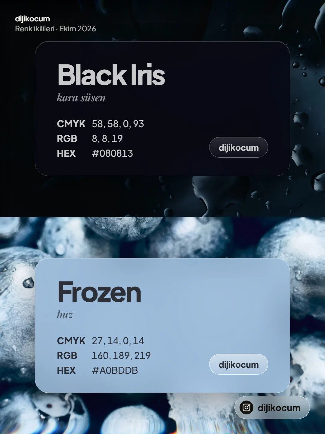 Birinci ikili: Black Iris ve Frozen kartları alt alta, kodlarıyla.